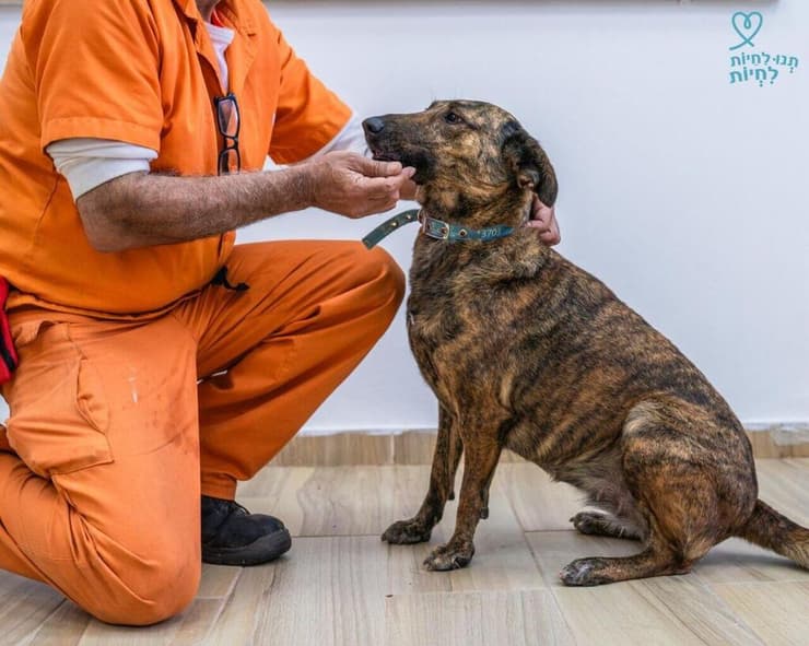 זינה והאסיר