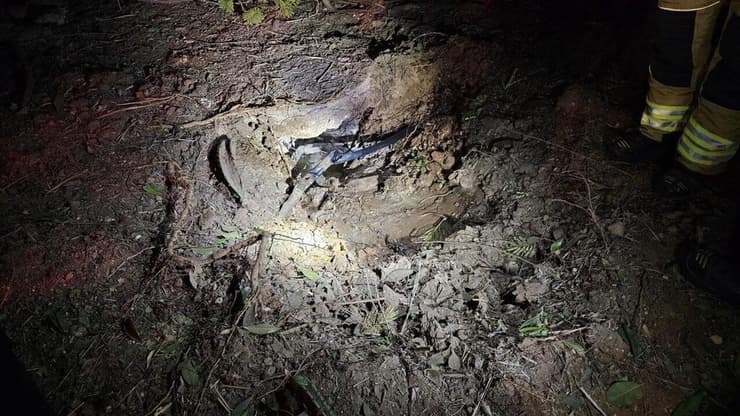 הפגיעה בחצר הבית