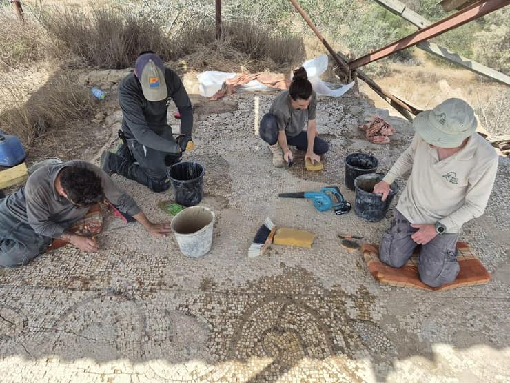 מצילים את הפסיפס הנדיר