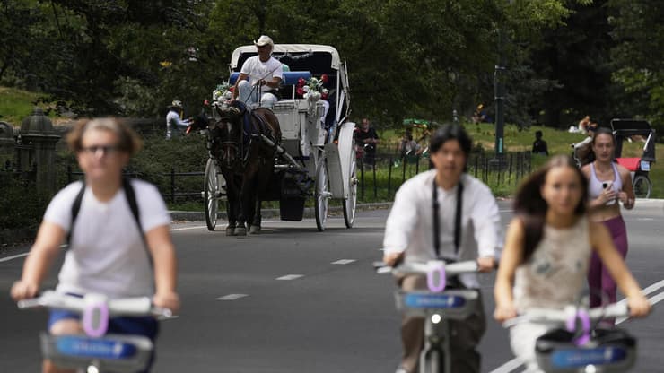 "הסוסים בלתי צפויים" (צילום: Seth Wenig) סנטרל פארק