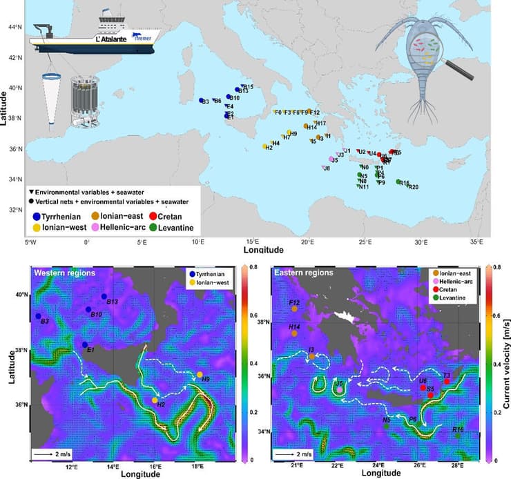 למעלה: מפה המציגה את תחנות הדגימה לאורך הפלגת המחקר על סיפון ה-R/V L’Atalante, למטה: מפות זרמים המציגות קישוריות בין תחנות הדיגום, המשתקפת בחברה המיקרוביאלית של השטרגליים