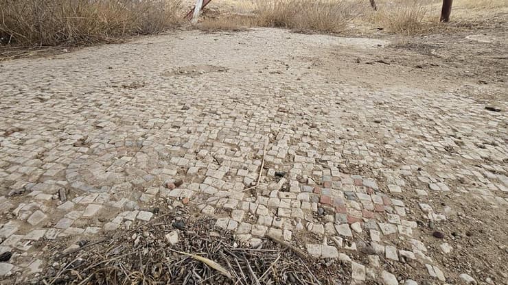 חשיפת הפסיפס לפני ההעתקה