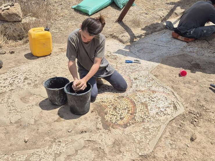 העבודות להצלת הפסיפס