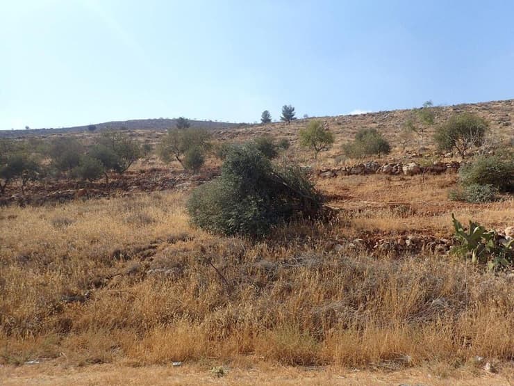 פעילות מבצעית סמוך לכפר אל מע'ייר