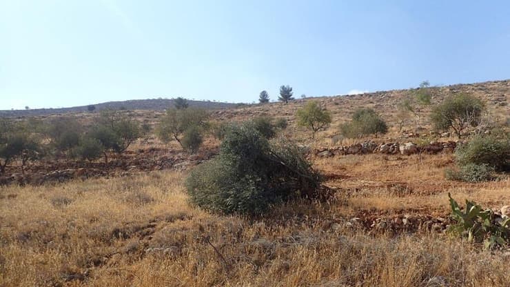 פעילות מבצעית סמוך לכפר אל מע'ייר