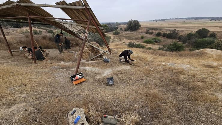 הפסיפס הנדיר התגלה ב-1917