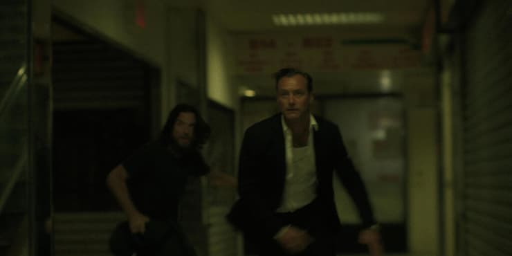 הארנבת השחורה