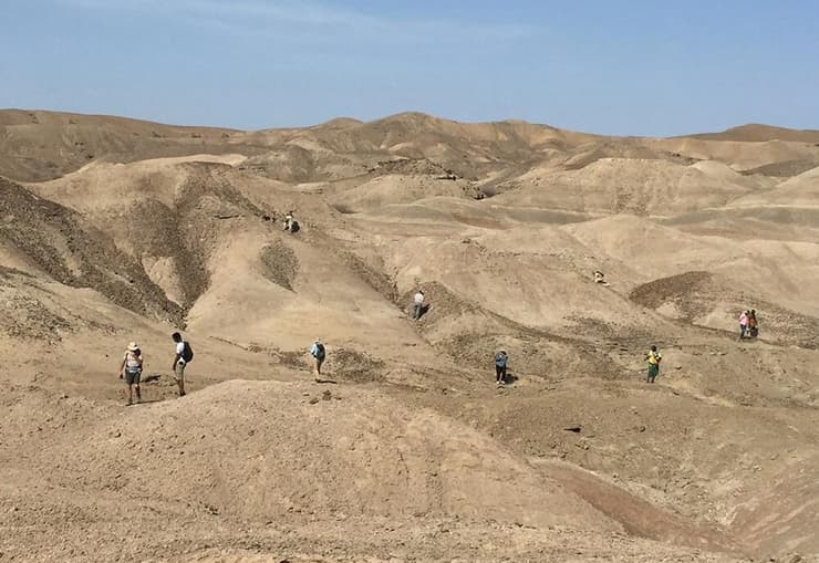 מחפשים ממצאים שישפכו אור חדש על מיני האדם הקדמון שחיו במזרח אפריקה. חוקרים מחפשים מאובנים באתיופיה