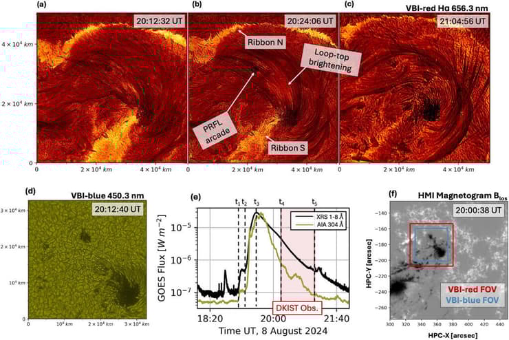 תיעוד לולאות עטרת השמש במהלך ההתפרצות הסולארית שאירעה ב-8 באוגוסט 2024 (צילום: NSF/NSO/AURA) תיעוד לולאות עטרת השמש במהלך ההתפרצות הסולארית שאירעה ב-8 באוגוסט 2024