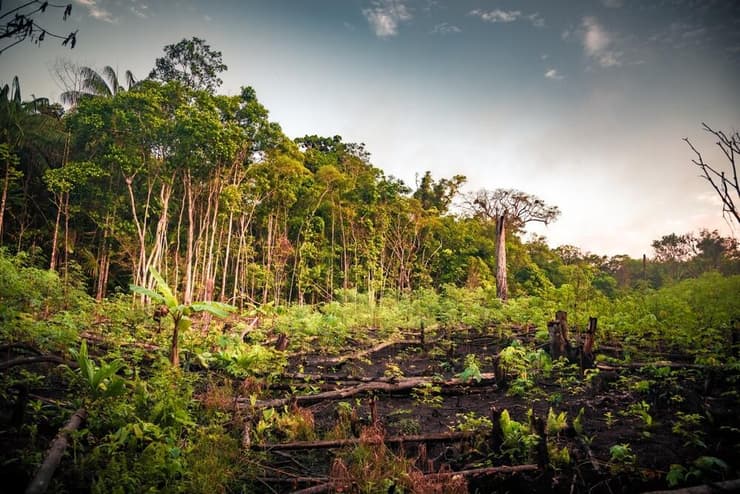 קולומביה מחוז גואביארה