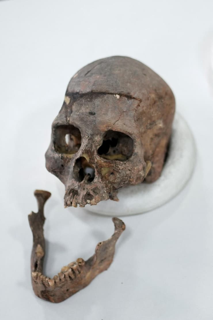 גולגולת אדם ולסת תחתונה מונחות על שולחן המעבדה באוניברסיטה הלאומית של קולומביה. לאחר ריצוף גנטי מלא של כמה מהשרידים העתיקים, נחשפה שושלת אנושית חדשה