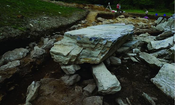 דוגמה לאבן כחולה שהובלה לסטונהנג' על ידי עדרי בקר