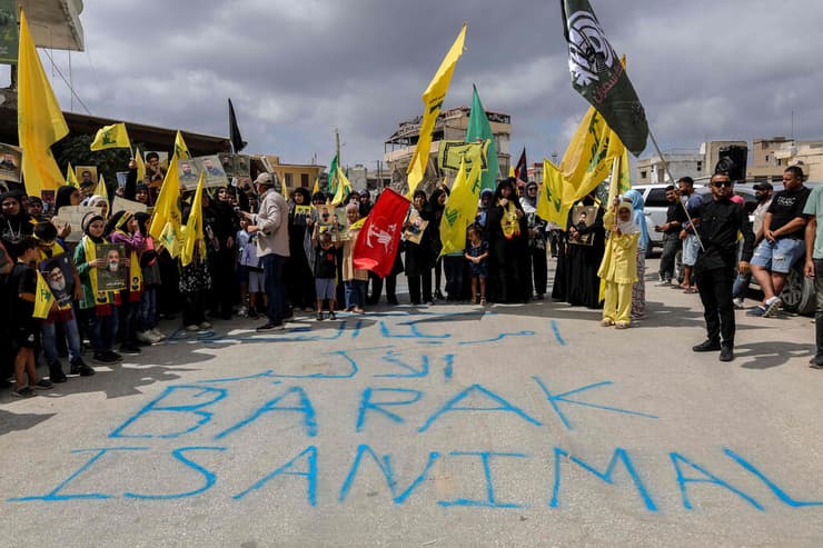 הפגנה ב חיאם דרום לבנון נגד שליח ארה"ב למדינה אחרי שכינה עיתונאים שם חיות