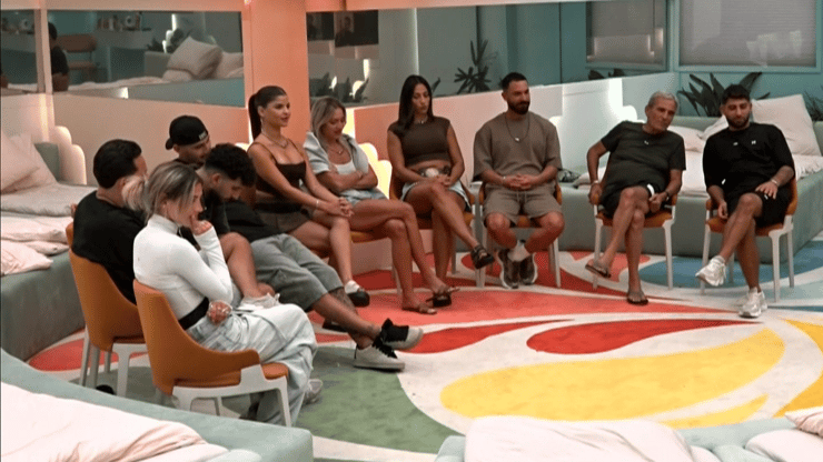 מתוך "האח הגדול"