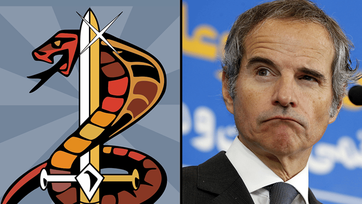 סמל יחידת קוברה של שירותי הביטחון ב אוסטריה