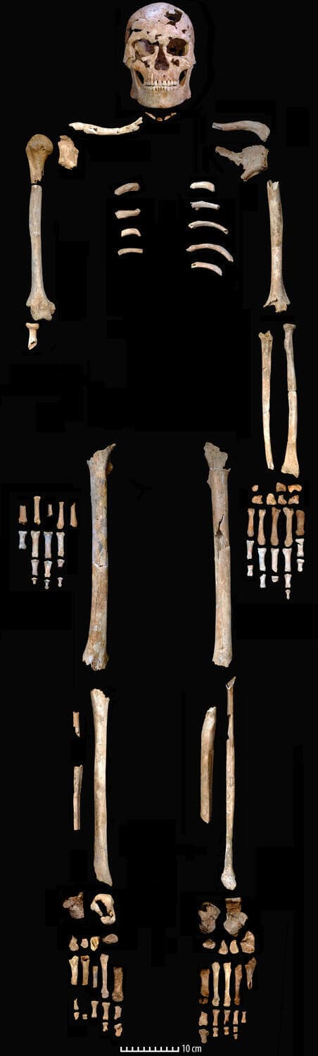 שרידי השלד של TBH1