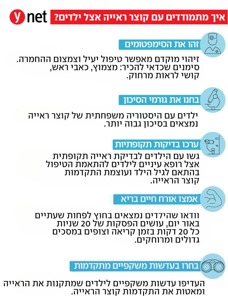 אינפו מתוקן - לפידות