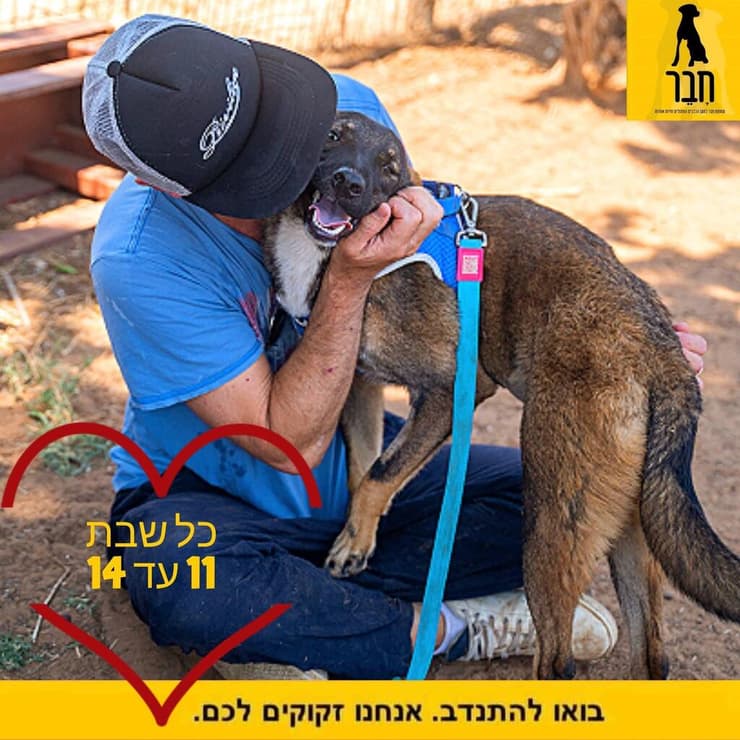 הברזל והקיטור הדהירו קדימה פרויקטים כבירים כמו רשת הרכבות הבריטית. טיפול ברכבות בתחנת בריסטול של רשת הרכבות המערבית הגדולה של בריטניה, 1843 | תחריט של האמן ג'ון קוק בורן. מקור: ויקיפדיה, נחלת הכלל 