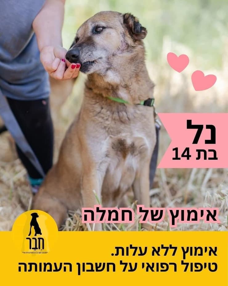 הברזל והקיטור הדהירו קדימה פרויקטים כבירים כמו רשת הרכבות הבריטית. טיפול ברכבות בתחנת בריסטול של רשת הרכבות המערבית הגדולה של בריטניה, 1843 | תחריט של האמן ג'ון קוק בורן. מקור: ויקיפדיה, נחלת הכלל 