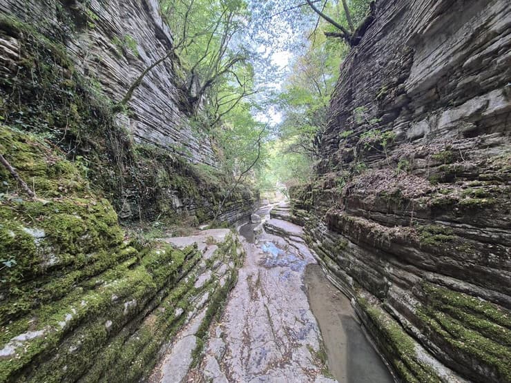 גבי המים של רוגובו