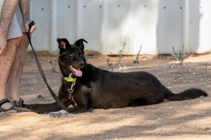 הברזל והקיטור הדהירו קדימה פרויקטים כבירים כמו רשת הרכבות הבריטית. טיפול ברכבות בתחנת בריסטול של רשת הרכבות המערבית הגדולה של בריטניה, 1843 | תחריט של האמן ג'ון קוק בורן. מקור: ויקיפדיה, נחלת הכלל 