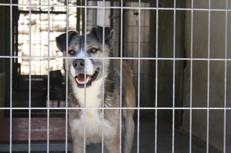 הברזל והקיטור הדהירו קדימה פרויקטים כבירים כמו רשת הרכבות הבריטית. טיפול ברכבות בתחנת בריסטול של רשת הרכבות המערבית הגדולה של בריטניה, 1843 | תחריט של האמן ג'ון קוק בורן. מקור: ויקיפדיה, נחלת הכלל 