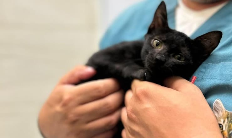 הברזל והקיטור הדהירו קדימה פרויקטים כבירים כמו רשת הרכבות הבריטית. טיפול ברכבות בתחנת בריסטול של רשת הרכבות המערבית הגדולה של בריטניה, 1843 | תחריט של האמן ג'ון קוק בורן. מקור: ויקיפדיה, נחלת הכלל 