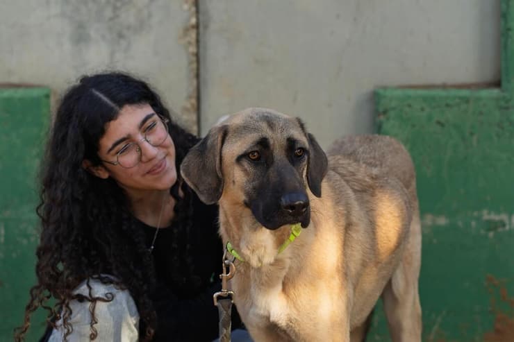 הברזל והקיטור הדהירו קדימה פרויקטים כבירים כמו רשת הרכבות הבריטית. טיפול ברכבות בתחנת בריסטול של רשת הרכבות המערבית הגדולה של בריטניה, 1843 | תחריט של האמן ג'ון קוק בורן. מקור: ויקיפדיה, נחלת הכלל 