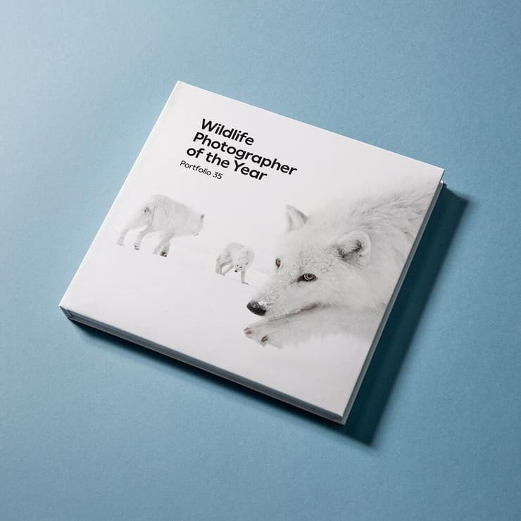 כריכת הספר של תחרות "צלם חיות הבר של השנה" לשנת 2025, עליה מופיעה תמונת "בתוך הלהקה" של עמית אשל