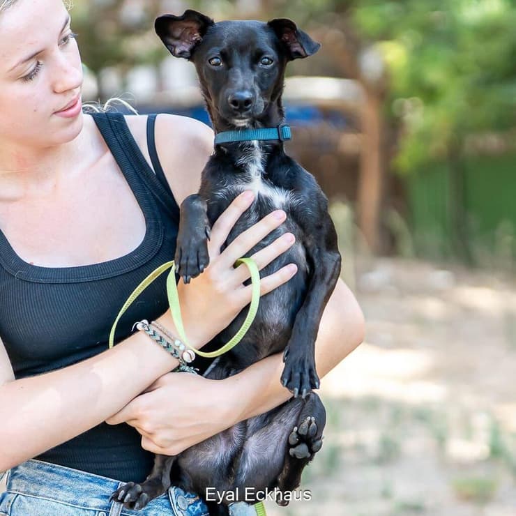 הברזל והקיטור הדהירו קדימה פרויקטים כבירים כמו רשת הרכבות הבריטית. טיפול ברכבות בתחנת בריסטול של רשת הרכבות המערבית הגדולה של בריטניה, 1843 | תחריט של האמן ג'ון קוק בורן. מקור: ויקיפדיה, נחלת הכלל 
