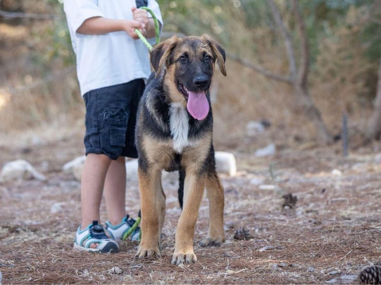 הברזל והקיטור הדהירו קדימה פרויקטים כבירים כמו רשת הרכבות הבריטית. טיפול ברכבות בתחנת בריסטול של רשת הרכבות המערבית הגדולה של בריטניה, 1843 | תחריט של האמן ג'ון קוק בורן. מקור: ויקיפדיה, נחלת הכלל 