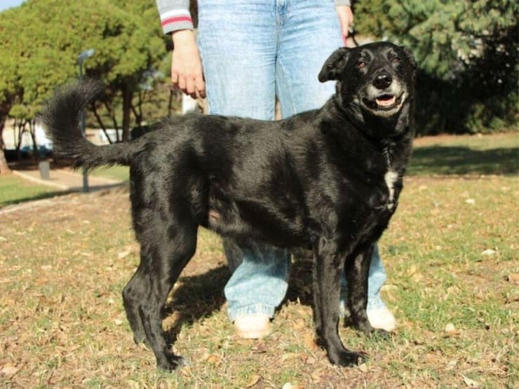 הברזל והקיטור הדהירו קדימה פרויקטים כבירים כמו רשת הרכבות הבריטית. טיפול ברכבות בתחנת בריסטול של רשת הרכבות המערבית הגדולה של בריטניה, 1843 | תחריט של האמן ג'ון קוק בורן. מקור: ויקיפדיה, נחלת הכלל 