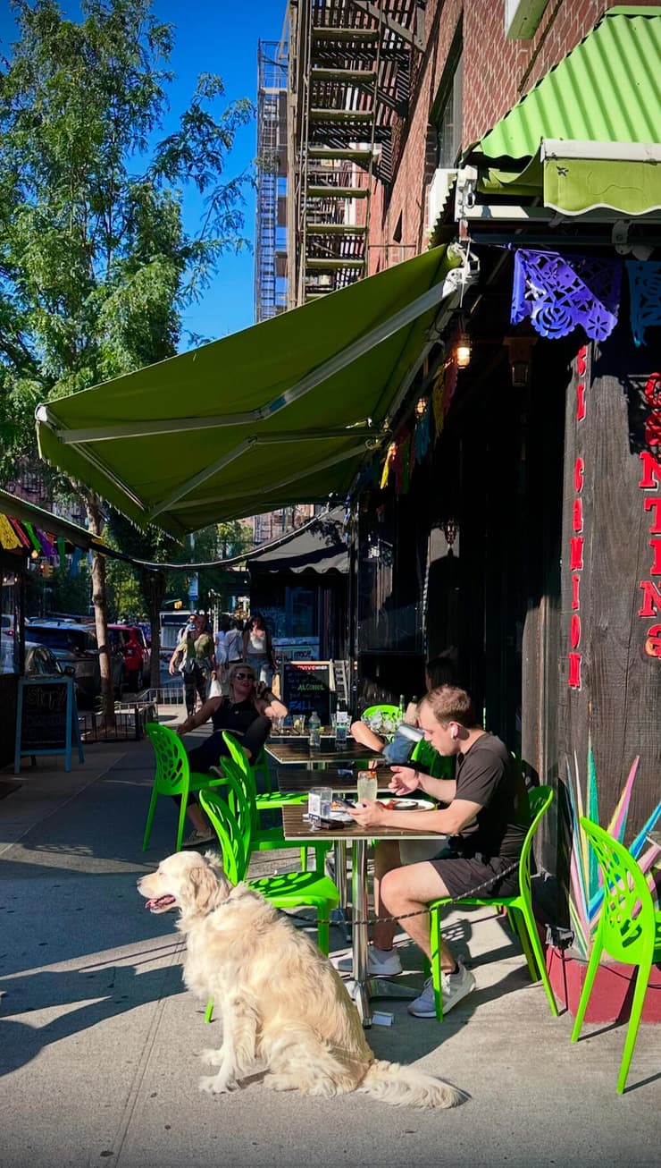 היום היא כבר משהו אחר. איסט וילג׳ (צילום: רועי אלמן) היום היא כבר משהו אחר. איסט וילג׳