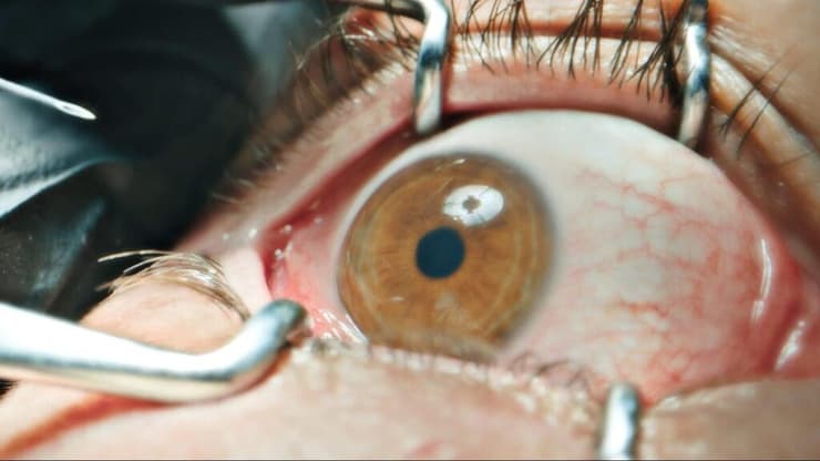 מתוך "דיור לא מוגן"