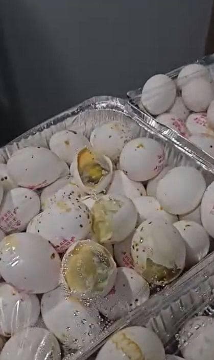 האוכל בבסיס סיירים