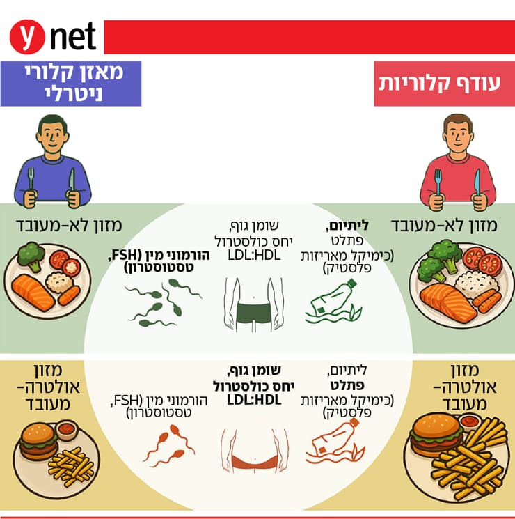 גרפיקה: Cell Metabolism אינפו מזון מעובד