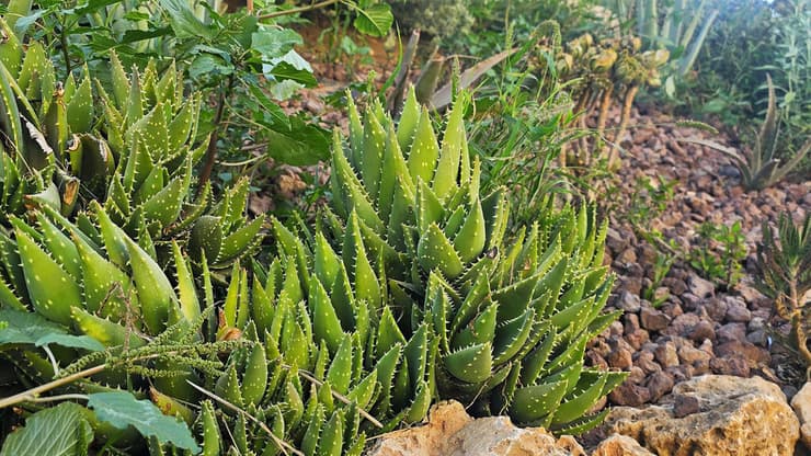 צילום: מאיר אבן חיים פנימיית "ביתנו" בבאר שבע