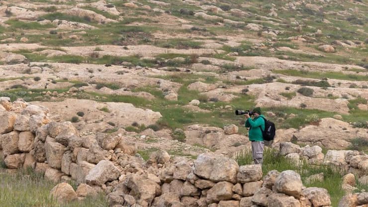 צלם הטבע נעם ארון