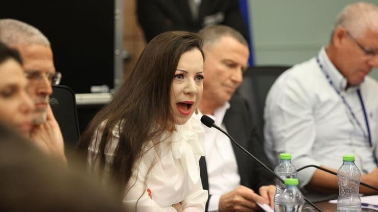 "במה זה יעזור?". גוטליב בוועדת חוץ וביטחון (צילום: אלכס קולומויסקי ) טלי גוטליב ויולי אדלשטיין בועדת חוץ וביטחון