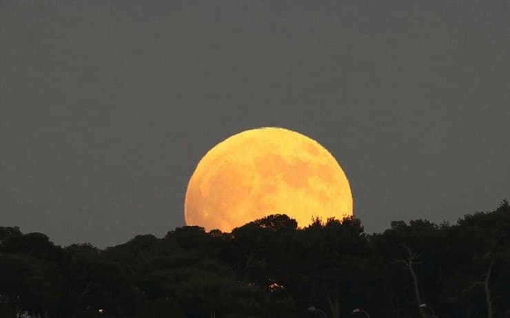 ירח מלא של אמצע חודש