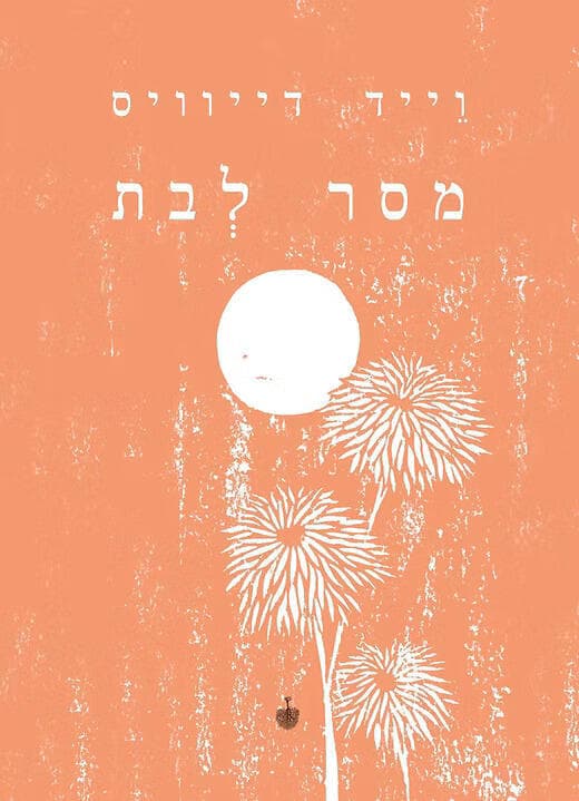 עטיפת הספר "מסר לבת", מאת וייד דייוויס