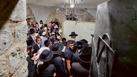 צילום: איתי אילנאי yk14505111