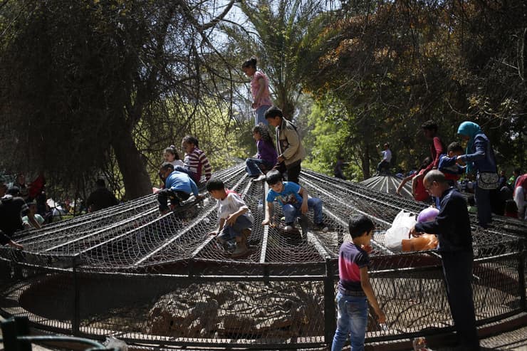 ילדים מטפסים על כלוב בגן החיות של גיזה, בימים שקדמו לפרויקט השיפוץ שהגן עמד במרכזו
