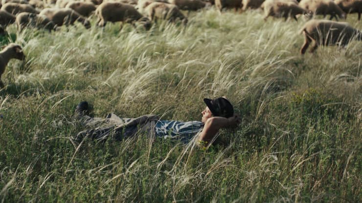 מתוך "הרועה"