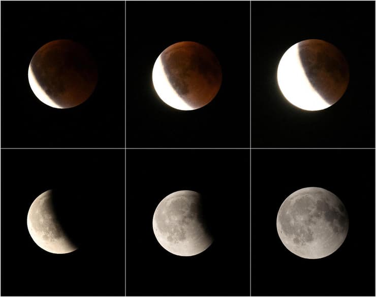 שלבי הליקוי בברלין