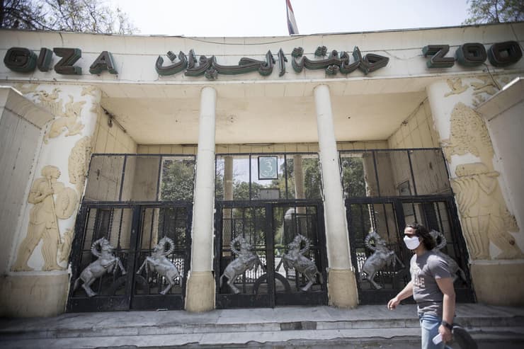 הכניסה לגן החיות בגיזה