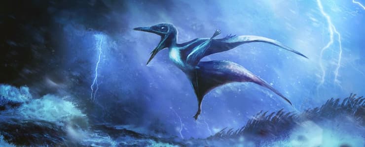 הצעירים לא שרדו