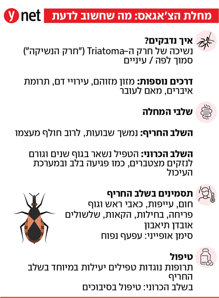 אינפו מחלת צ'אגאס אינפו מחלת צ'אגאס