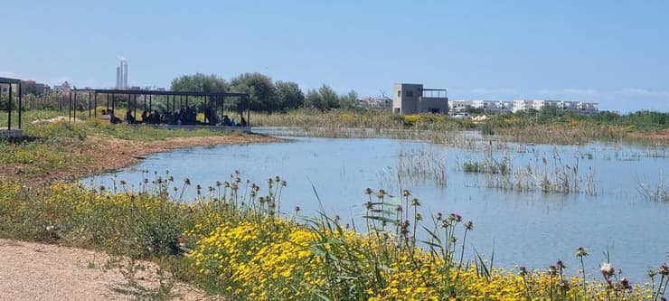 פארק הצפרות במעגן מיכאל