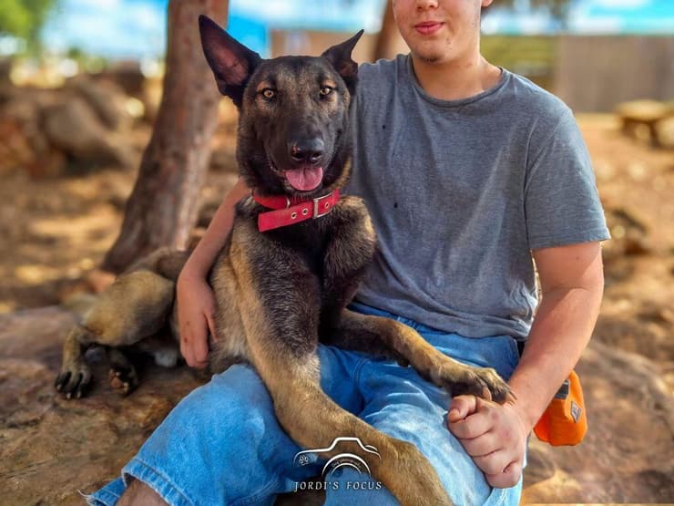 בוב (צילום: ירדן משה) בוב